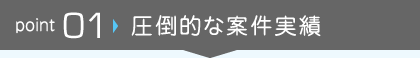 圧倒的な案件実績