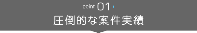 圧倒的な案件実績